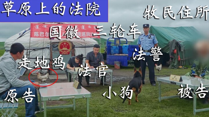 法官说了，内蒙古高考真的要考骑马射箭