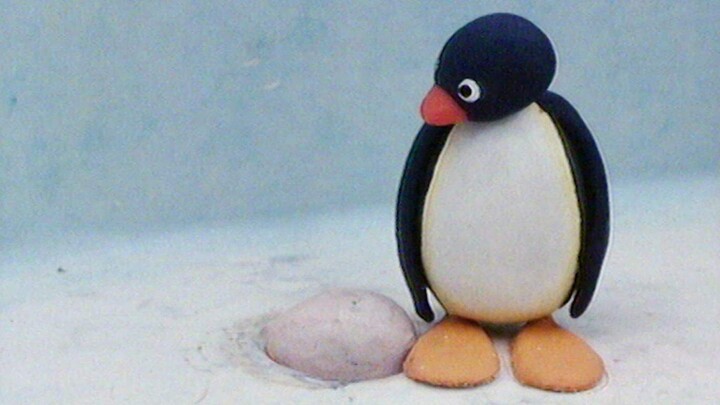 Pingu aiuta a covare