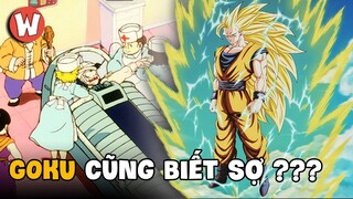 Những Sự Thật Thú Vị về Dragon Ball