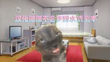 [Meme kucing] Bagaimana cara tim penerjemah bahasa Mandarin menerjemahkan sebuah karya ke dalam baha