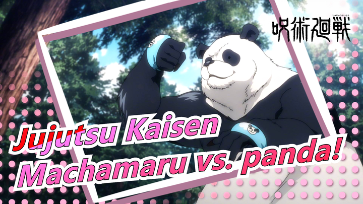 Jujutsu Kaisen|[16]Machamaru vs panda!Panda!Panda ada saudara laki2&perempuan? Saudara?gorila!