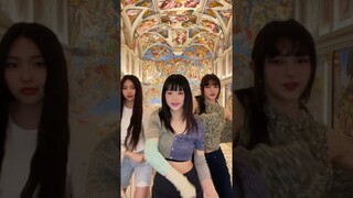 Rollercoaster ride with OMG 🎢#NewJeans #뉴진스#HANNI#DANIELLE #HYEIN#Year_of_NewJeans#LeeumMuseumofArt