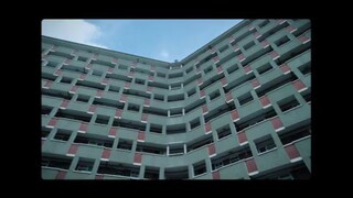 new movie the strays(mp4nia)