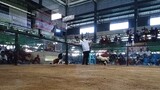 Win 1st Fight, 2 HITS SAN ROQUE COCKPIT ARENA