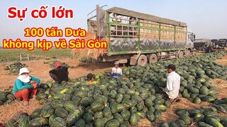 Sự cố lớn bất ngờ khiến hơn 100 tấn dưa hấu không kịp về Sài Gòn