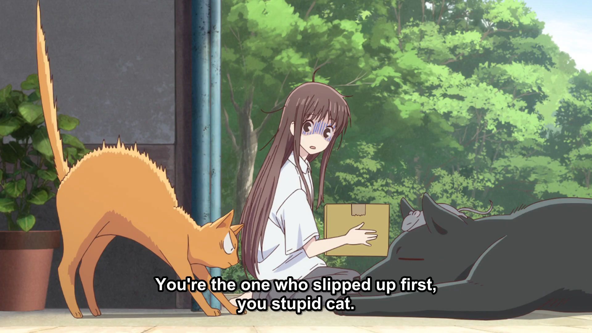 Fruits Basket (2019) Ep. 2: So many unneutered pets