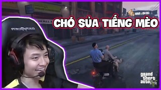 GTA RP | Huy trọc gặp gỡ cảnh khuyển real | Mixi City