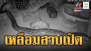 ร้องระงม! เหลือมยักษ์บุกสวบเป็ด เกือบหมดเล้า | ข่าวอรุณอมรินทร์ | 25/7/67