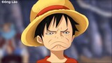 10 Sự Thật Bạn Chưa Biết Về Monkey D. Luffy - Chúa Tể Nickname-P1