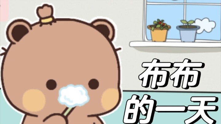 布布的一天。。