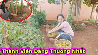 2Q Có thêm thành viên mới ở Châu Phi||2Q Vlogs Cuộc Sống Châu Phi