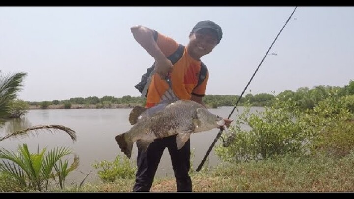 CÂU CÁ CHẼM KHỦNG ( CÁ VƯỢC ) MIỀN TÂY | FISHING SEABASS !