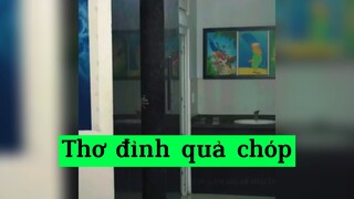 Thơ đỉnh quả chóp