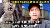 Kucing Lagi Sakit Parah Minta DiTolong Datang Ke Masjid Istiqlal Jakarta..!