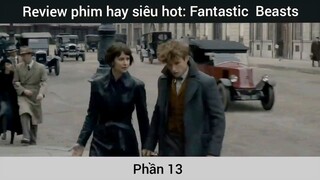 Review phim hay siêu hot: Fantastic  Beasts #13