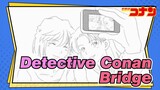 Detective Conan|[Self-Drawn AMV]Bridge -Miyano Shiho&Miyano Akemi