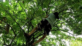 SERU ❗ GADIS DAYAK BERUJAK DI HUTAN.                  #gadisdayak #cantik #kalimantan