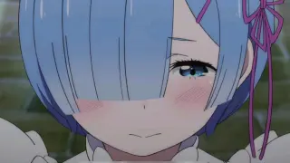 "The Subaru in Rem's eyes, how much does Subaru know?"