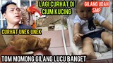 Momen Saat Kucing Tom Ikut Momong Anak SMP Di Halaman Cats Lovers Tv