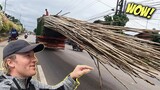 Driving in the Philippines is more fun than you’ve heard! (Filipino Christmas Games)