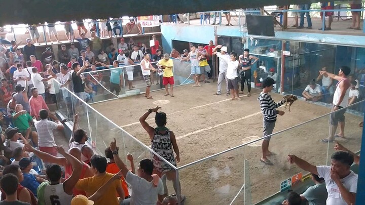 TaLo Tayo Dito