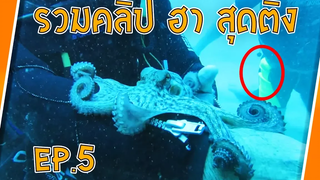 รวมคลิป สุดติ่ง ฮาๆ EP5 Sabai Sabai