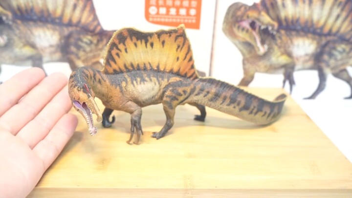 pnso แกะกล่อง Spinosaurus Essien ที่เพิ่งบูรณะใหม่ [Meow Jun Review]