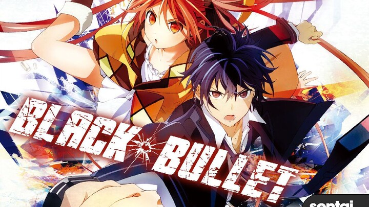 BLACK BULLET 13