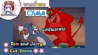 Tom and Jerry ทอมแอนเจอรี่ ตอน แค่ฝันเองหรอ