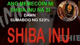 Ang meme coin ni Shiba Inu na si DAMN - nakapagbigay na ng 523% na gain
