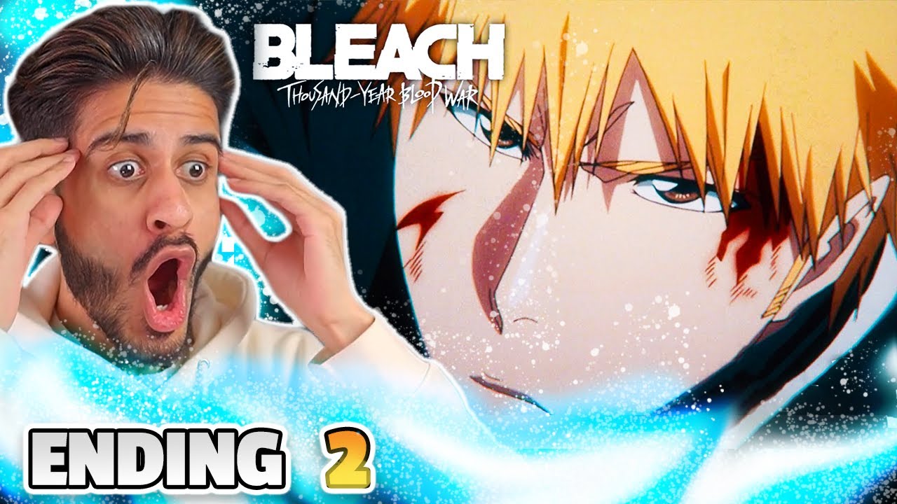 Discover 139+ is bleach finished anime 3tdesign.edu.vn