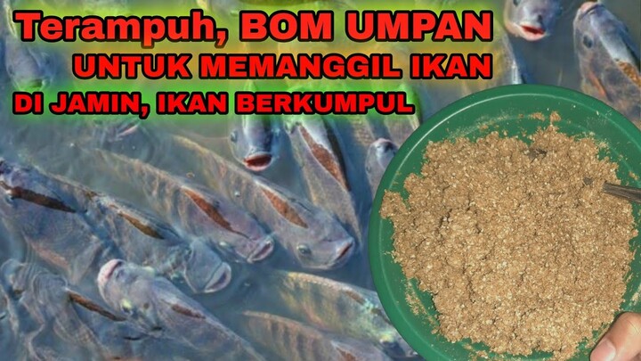 TERAMPUH!! Umpan BOM Pengumpul Ikan Babon NILA dan  Ikan Mas (di jamin ikan berkumpul)