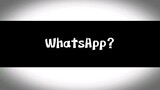 WhatsApp? 🤓