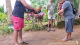 spar mna tayo mga boss         (golden boy vs white kelso)