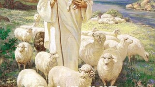 Tuesday, May 13, 2025 Tuesday of the Fourth Week of Easter #faith #readings #easter2025
