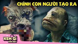 Phòng Thí Nghiệm Rò rỉ 9 SINH VẬT Đá.ng S.ợ nhất do Khoa Học Tạo Ra