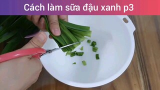 Cách làm sữa đậu xanh p3