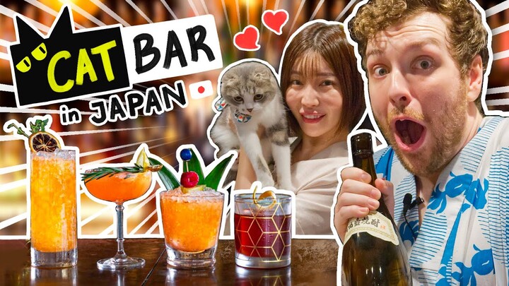 I Tried Working At Japan's Cat Bar Ft. Shibuya Kaho