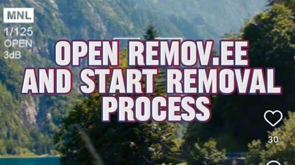 Remove leaked content from Instagram | REMOV.EE