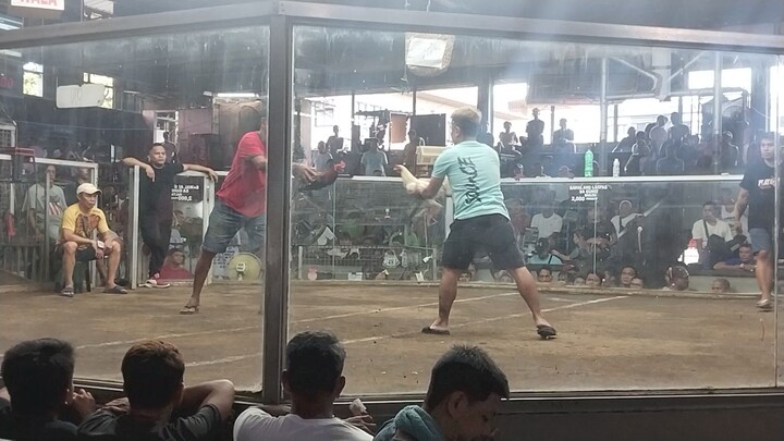 3x winner mayahin 2hits champ