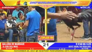 WORLD PITMASTER CUP GALLERA DE MANDAUE VS R STAG BG 1129