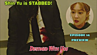 Destined With You Episode 14 Preview | Jung Beom STABS Shin Yu | Jo Bo Ah, Rowoon