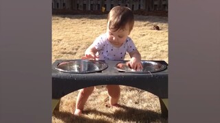 Funny Babies Playing With Water - Baby Outdoor Videos