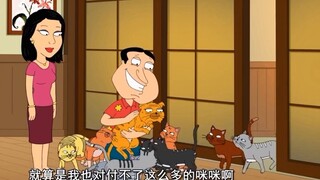 Quagmire is a cat lover