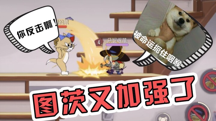 猫和老鼠更新：图茨：小样，看我怎么治你！佩克斯：猫大哥，饶命啊！