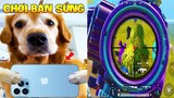 Thú Cưng Vlog | Chó Gâu Đần Golden Troll Mẹ #23 | Chó golden vui nhộn | Funny pets smart dog