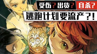 受伤？出货？自杀？逃跑计划要流产？！《约定的梦幻岛》漫画19-37话速看【狮团爱煲番】