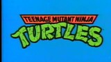 Teenage Mutant Ninja Turtles (1987) - S03E03 - Attack of the 50-Foot Irma