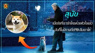 สุนัข ที่รอเจ้าของอยู่ที่เดิมถึง 9 ปี I สปอยหนัง ฮาชิหัวใจพูดได้