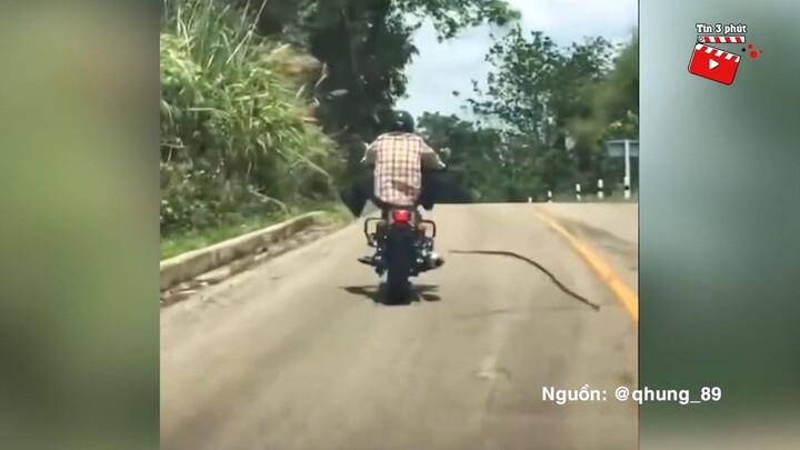 Đang 'CHẠY XE' trên đường, người đàn ông bất ngờ bị con rắn 'NHẢY LÊN TẤN CÔNG'